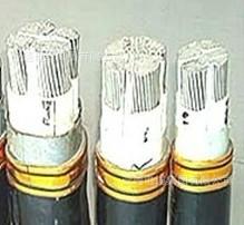 专业销售加工各类规格电线电缆，覆盖中高压1-35KV电力电缆，提供全面产品信息